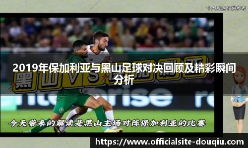 2019年保加利亚与黑山足球对决回顾及精彩瞬间分析