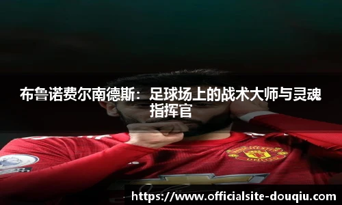 斗球体育