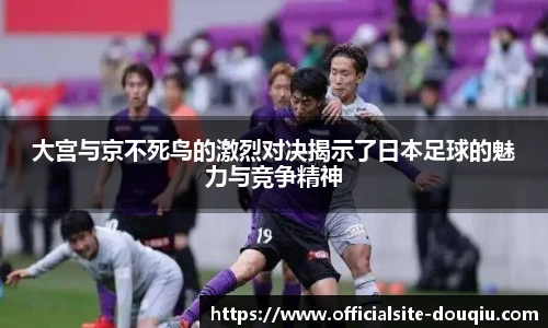 斗球体育